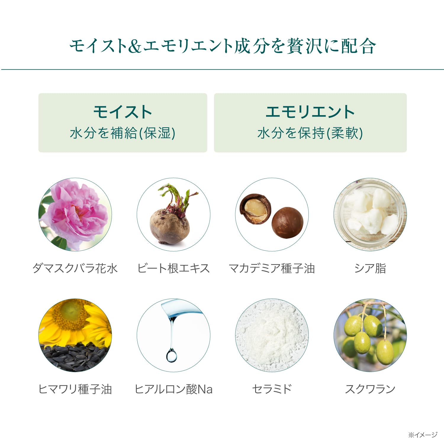 Amazon.co.jp: Bb LABORATORIES(ビービーラボラトリーズ) Bb モイスト